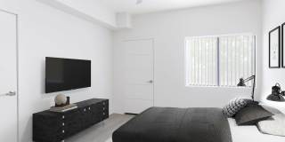 SW Gallery 10