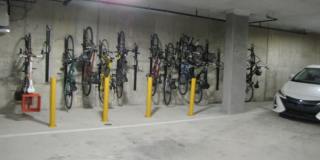 Yancey Street Gallery 14