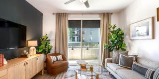 Vine at Panorama Gallery 3