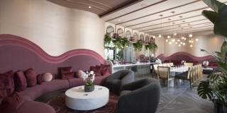 Alexan Camellia Gallery 19