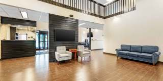 Buffalo - Airport Gallery 14