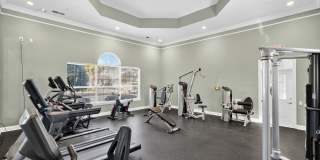 Alexander Ridge Gallery 15