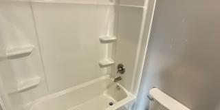 *August 2028* 5 Bedroom house 1 block off Kirkwood FULLY RENOVATED Gallery 12