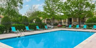 Sussex Downs Gallery 66