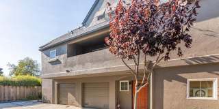132 Clay Street Gallery 4