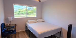 Available August 1 | Fully Furnished 3BD/3BA Home in HPP (Hawaiian Paradise Park) Gallery 17