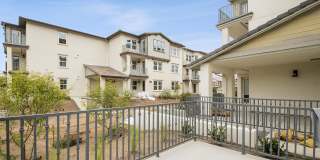 Arrive Los Carneros Gallery 28