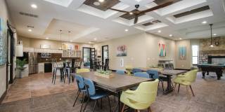 Hollow Tree Park Gallery 33