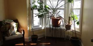 319 Hoosick Street Gallery 16