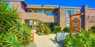 Sea Chase (Acacia Avenue) Gallery 1