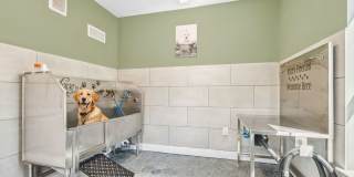 Provenza at Park Place Gallery 7