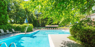 Annen Woods Annen Woods Gallery 24