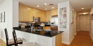 250 E Pearson Street Gallery 6