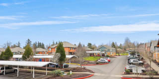 Zachary Park Gallery 2