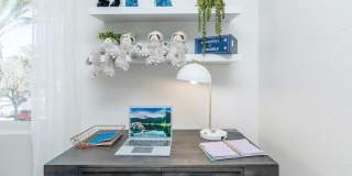 Park Sierra Gallery 27