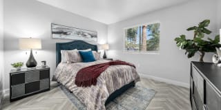 District 5800 Gallery 7