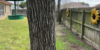 Upgrade your lifestyle in 2026! Gallery 10