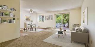 Cherry Court Gallery 20