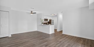 The Cloisters Gallery 5