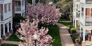 Mariners Landing Gallery 67