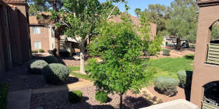 Desert Shores area Gallery 15