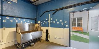 1640 Victoria Park Apartments Gallery 33