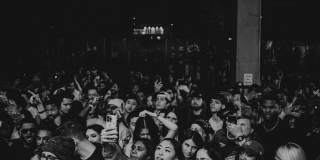 X Phoenix Gallery 34