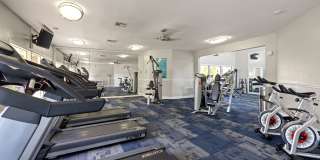 Trellis at the Lakes Gallery 9