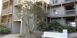 Ocean Front! Every day is a great day at the beach!! Gallery 1