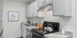 The Columns Gallery 4