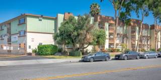 Citrus Court Apartments Gallery 1