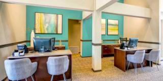 Sofi Laguna Hills Gallery 3