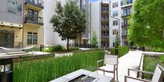 The Arnold Gallery 21