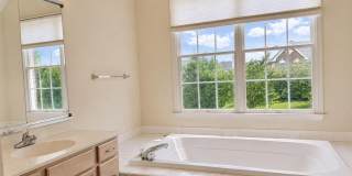 43520 LUCKETTS BRIDGE Circle 43520 LUCKETTS BRIDGE Circle Gallery 17