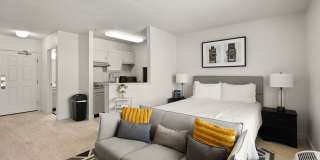 AVIA North Shore Gallery 2