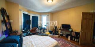 Unique 8 bed 2bath HOUSE with Yard,  Basement , Easy Parking Gallery 5