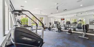 Windsor Coral Springs Gallery 24