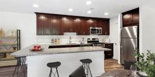 Hampton Manor Gallery 1