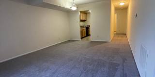 Northgate Gallery 103