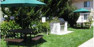 Bay Laurel Gallery 7