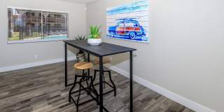 Aster on University Gallery 13