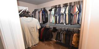 4431 Gneiss Loop Gallery 12
