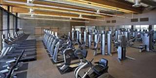 29323 N 21st Dr Gallery 25