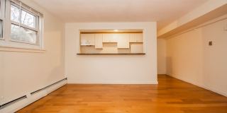 Pet Friendly, Garden Level Affordable Apartment in Brookline w ONE FREE Parking Spot, Heat, Hot Water all INCLUDED!   Most Utilities Gallery 7