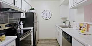 Rise Desert West Gallery 63