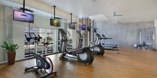 Liberty Crest Gallery 16