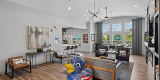 Highland Ridge Gallery 11