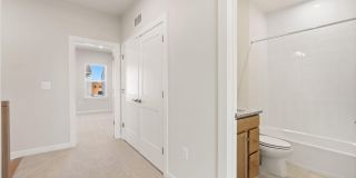 42580 PITLOCHRY Terrace Gallery 26