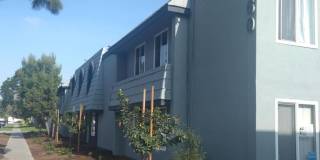 Ackerfield Gallery 1