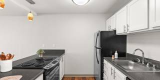 The Aviator apartments Gallery 48